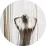 اسراء ع.